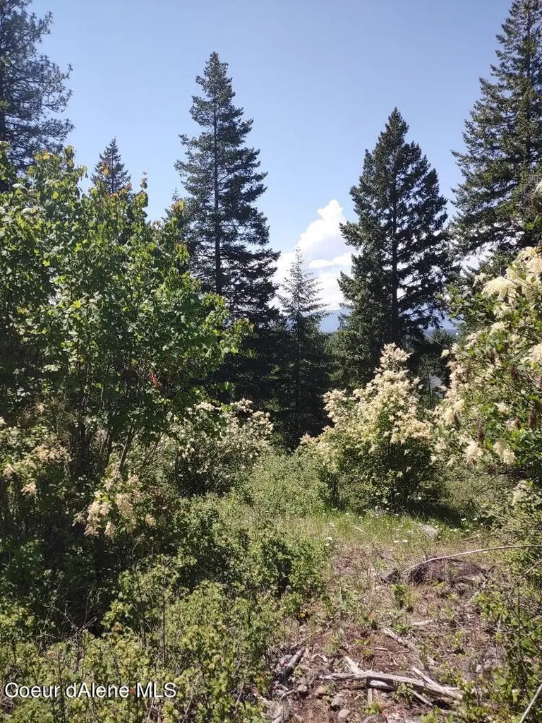 Lot 28 Wood Duck Lane Bonners Ferry ID 83805