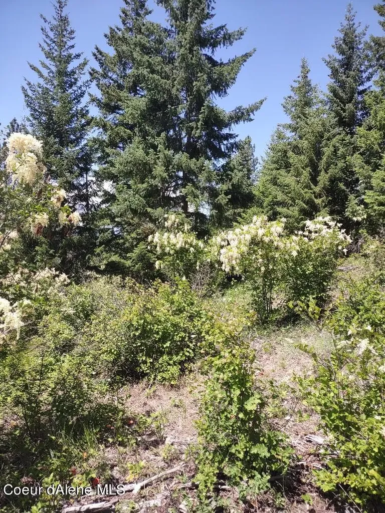 Lot 28 Wood Duck Lane Bonners Ferry ID 83805