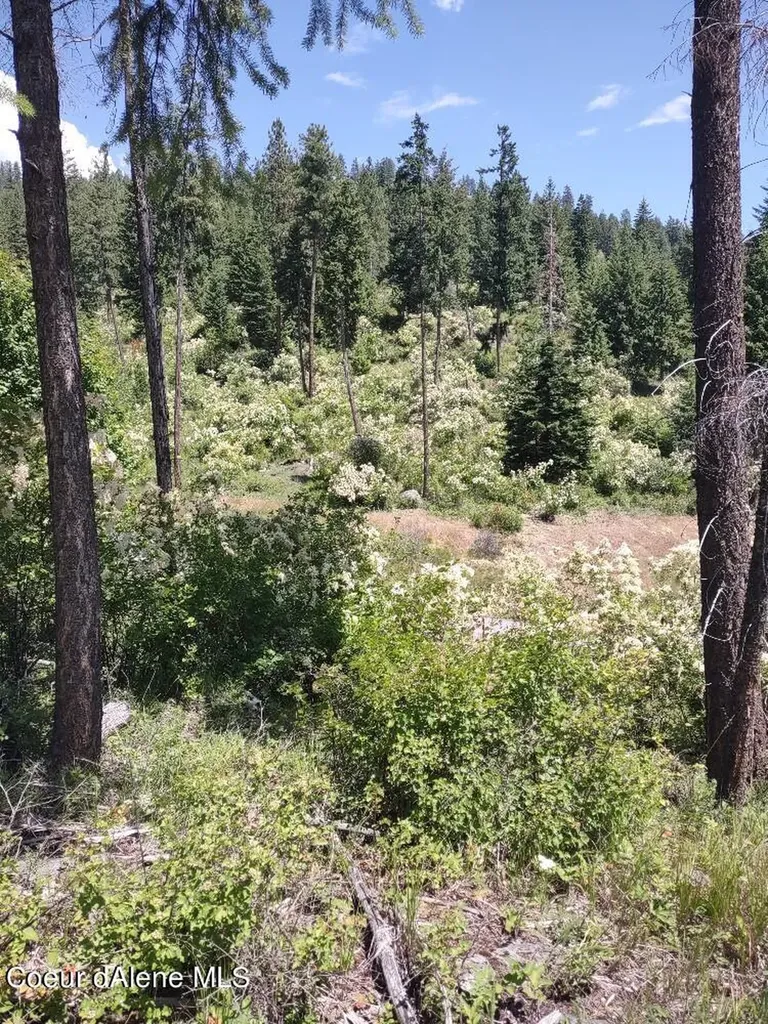 Lot 28 Wood Duck Lane Bonners Ferry ID 83805
