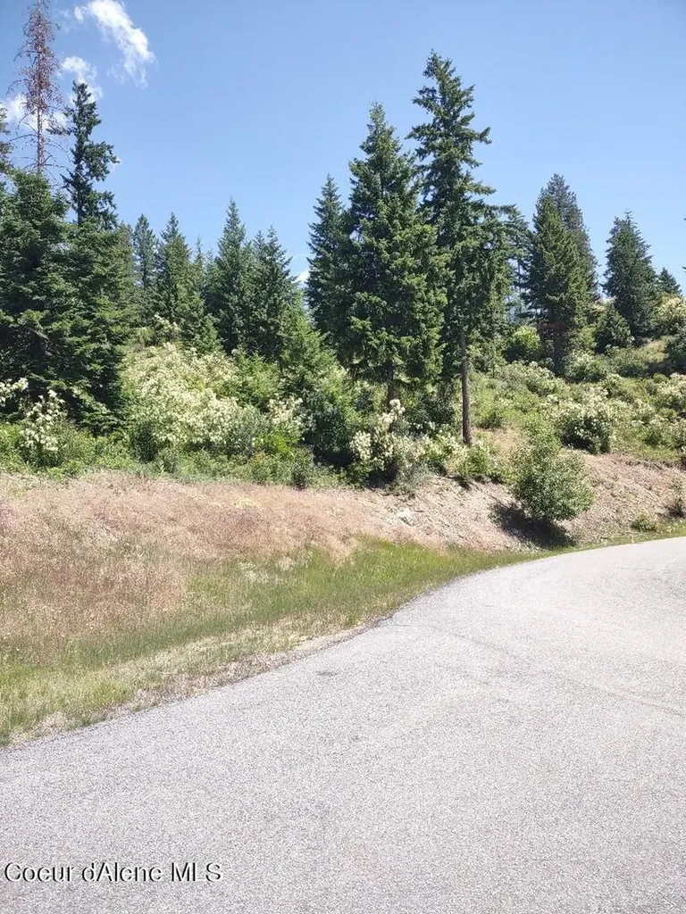 Lot 28 Wood Duck Lane Bonners Ferry ID 83805