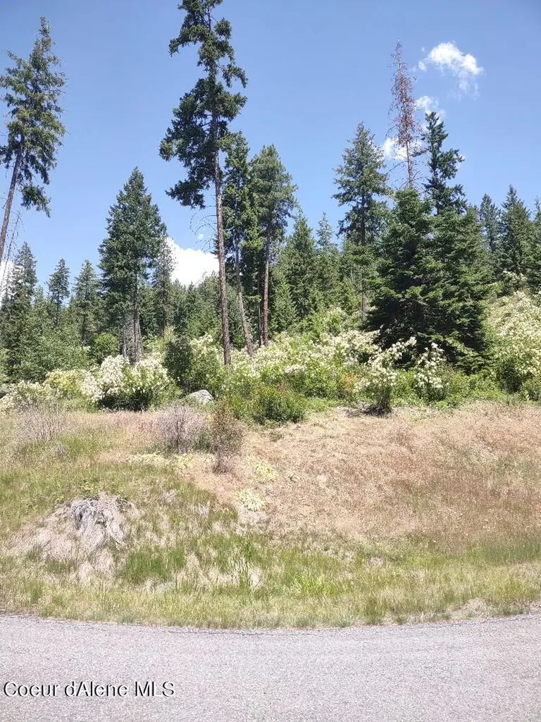 Lot 28 Wood Duck Lane Bonners Ferry ID 83805