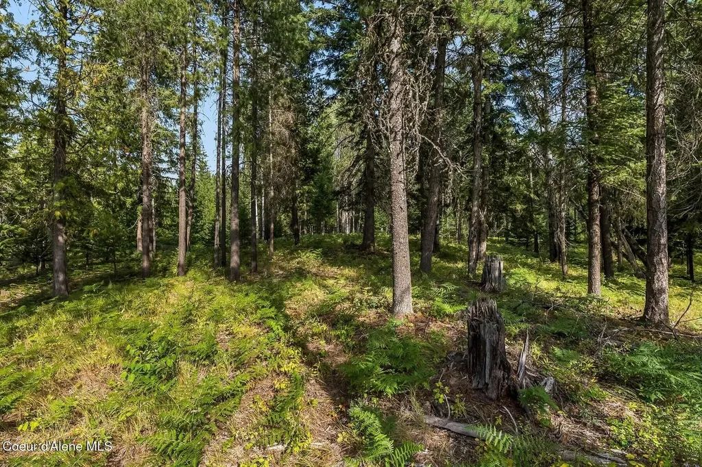 Nna Lot 17 Ranch Road Naples ID 83847