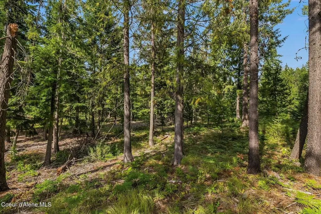 Nna Lot 17 Ranch Road Naples ID 83847