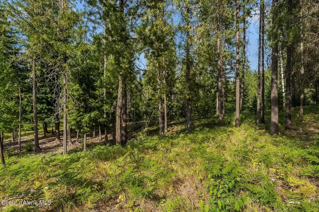Nna Lot 17 Ranch Road Naples ID 83847
