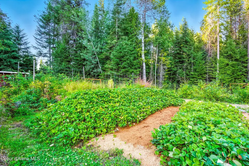 633 Old Mill Road Sandpoint ID 83864