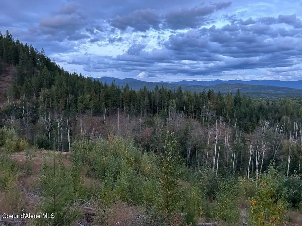 633 Old Mill Road Sandpoint ID 83864