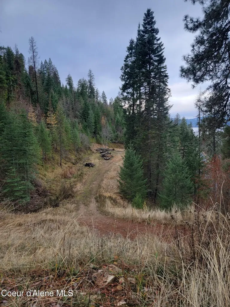 37244 S Highway 97 Harrison ID 83833