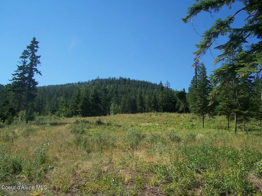 Nna Mellick Road Post Falls ID 83854