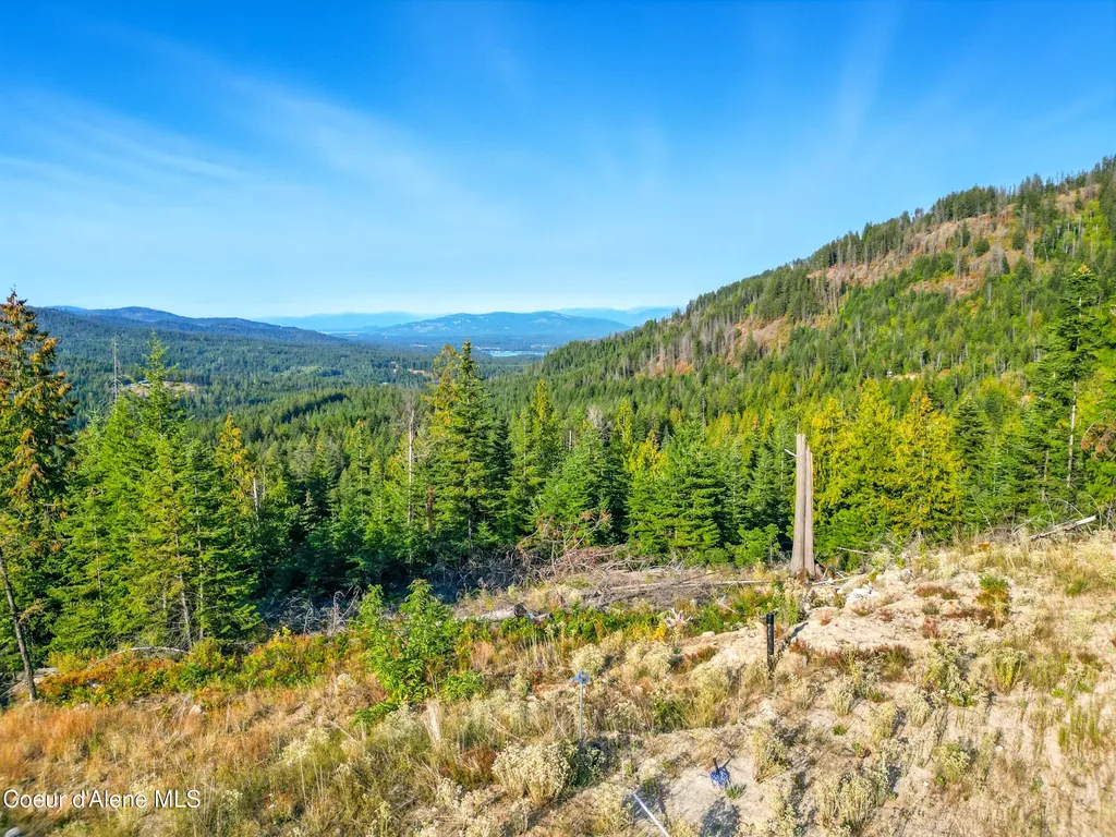 Nna Orion 20acres Drive Cocolalla ID 83813
