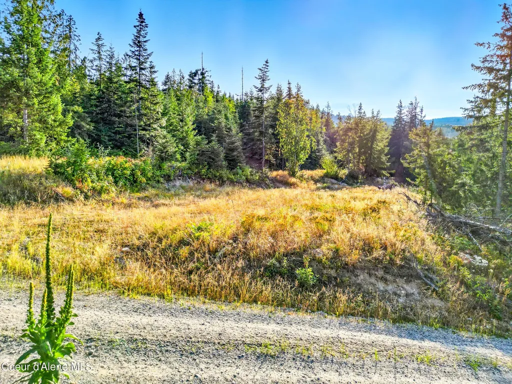 Nna Orion 20acres Drive Cocolalla ID 83813