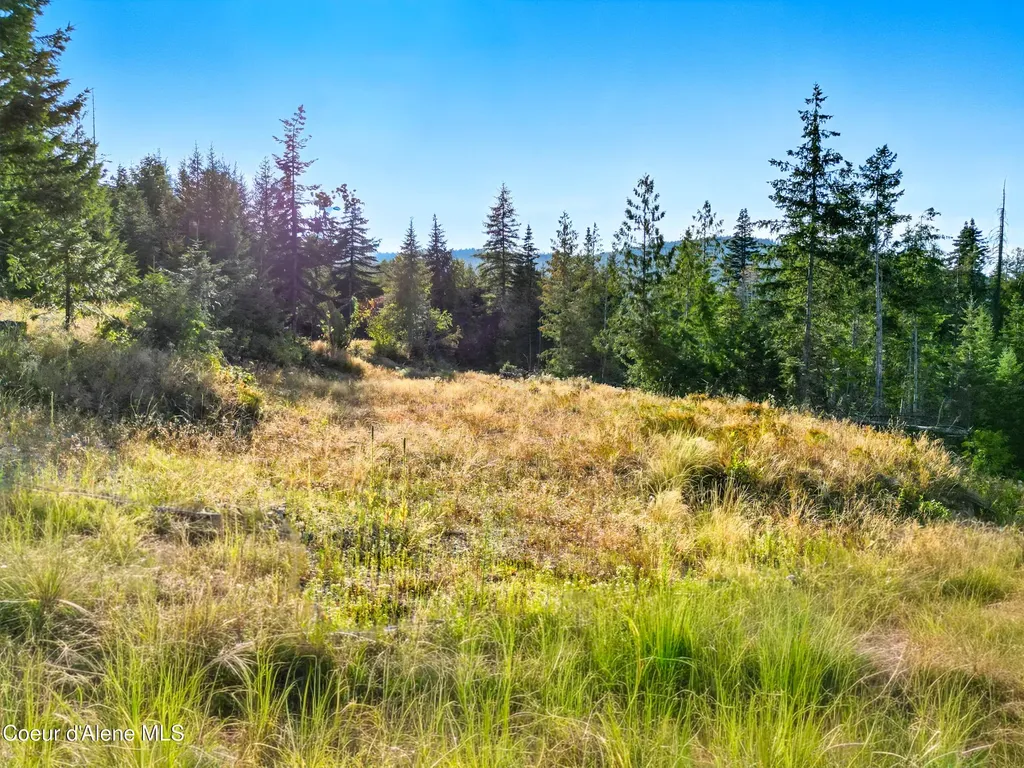 Nna Orion 20acres Drive Cocolalla ID 83813