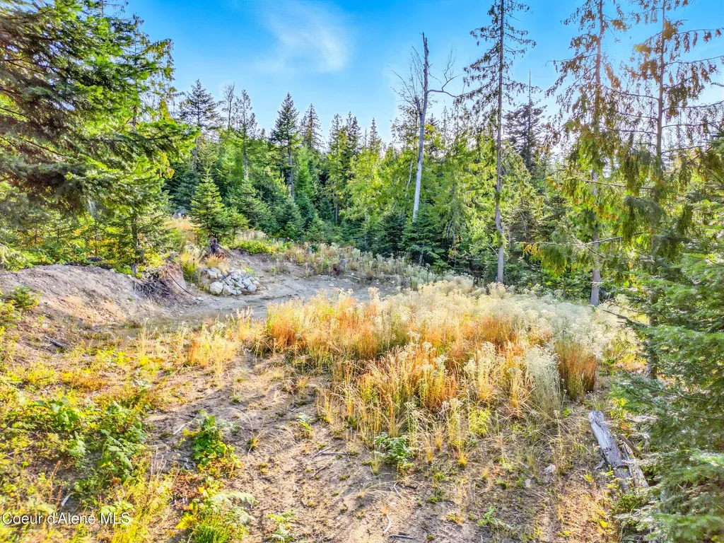 Nna Orion 20acres Drive Cocolalla ID 83813