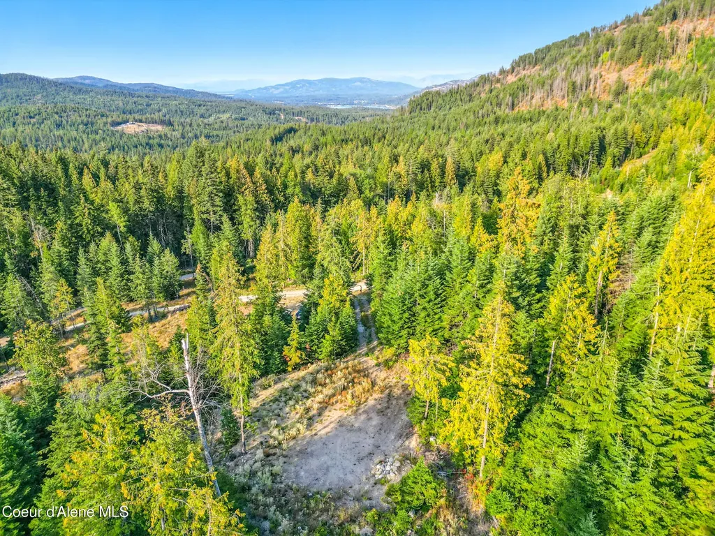 Nna Orion 20acres Drive Cocolalla ID 83813