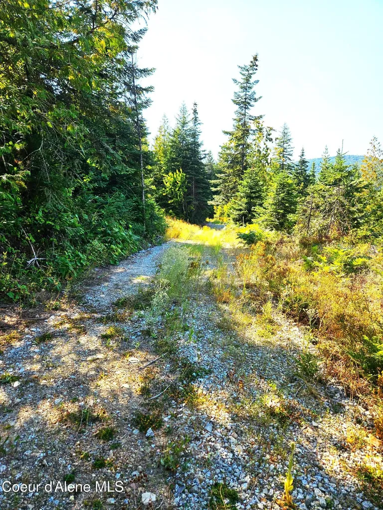 Nna Orion 20acres Drive Cocolalla ID 83813