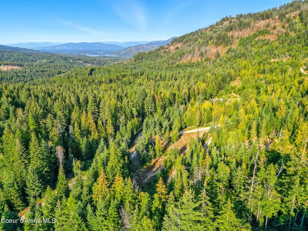 Nna Orion 20acres Drive Cocolalla ID 83813