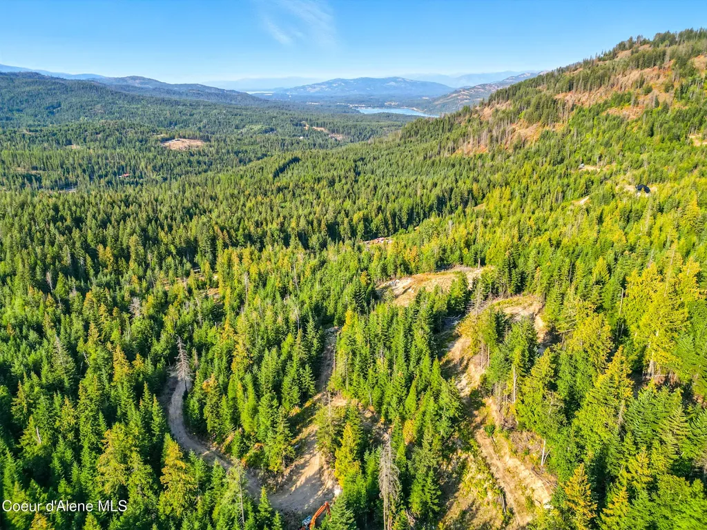 Nna Orion 20acres Drive Cocolalla ID 83813
