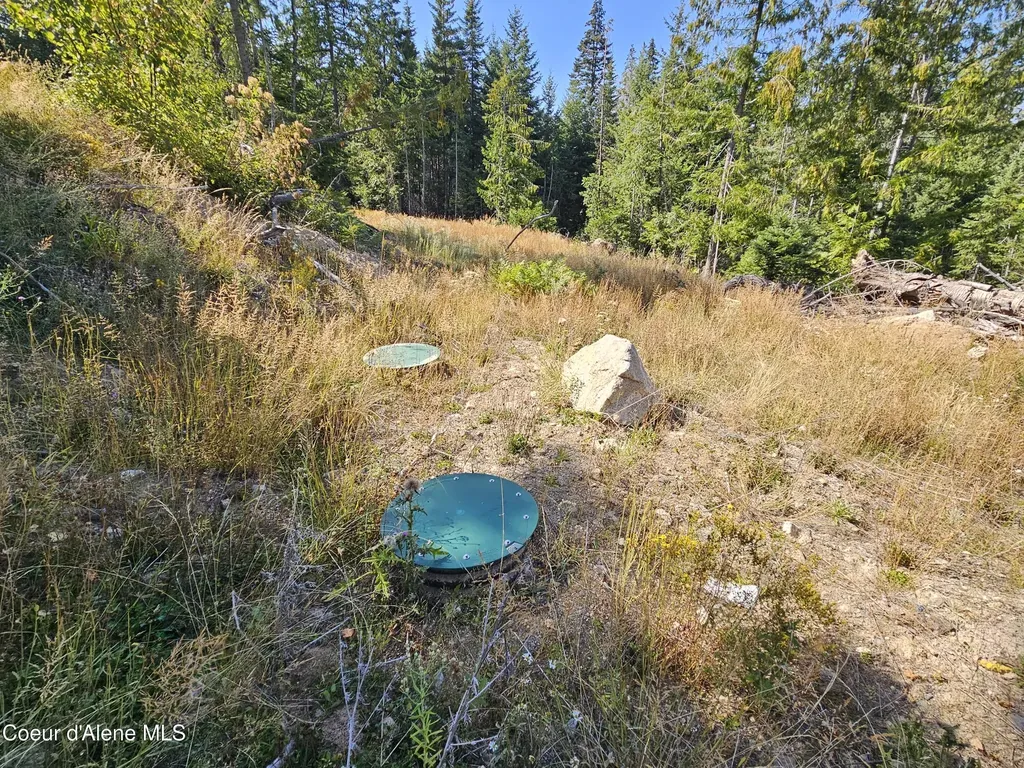 Nna Orion 20acres Drive Cocolalla ID 83813