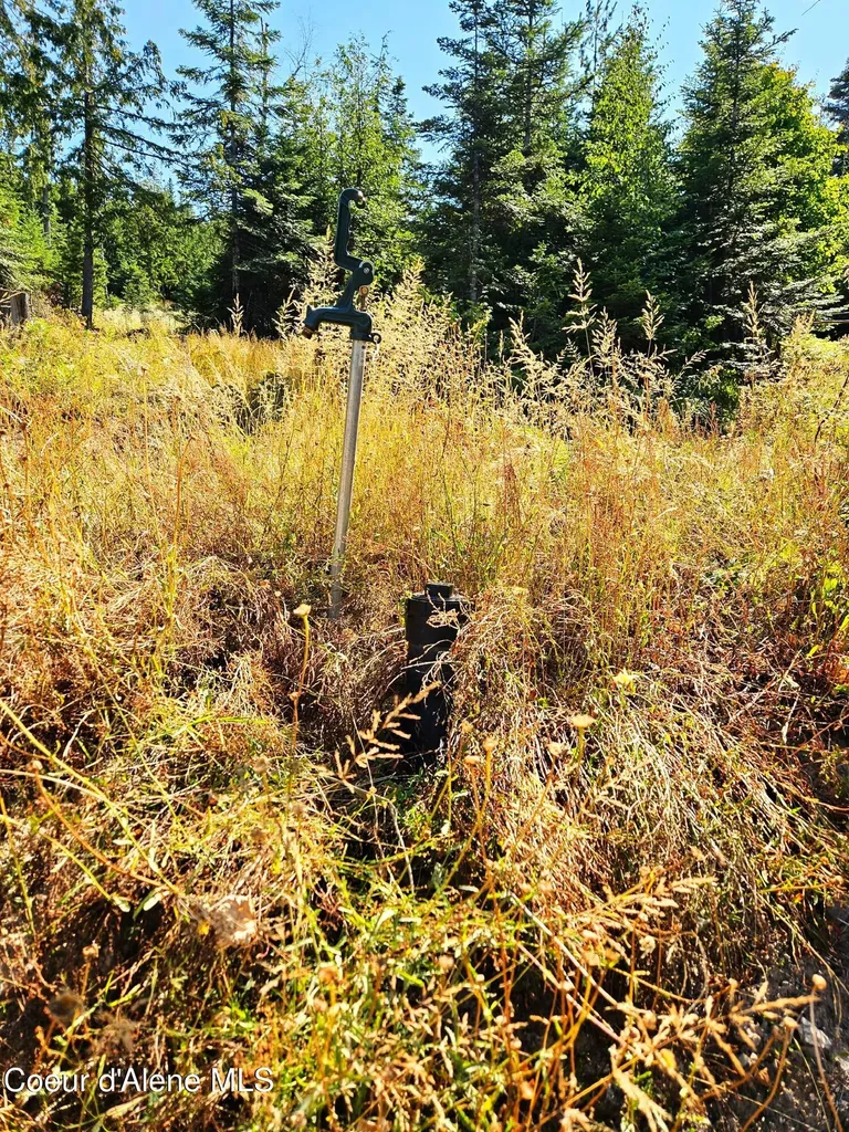 Nna Orion 20acres Drive Cocolalla ID 83813