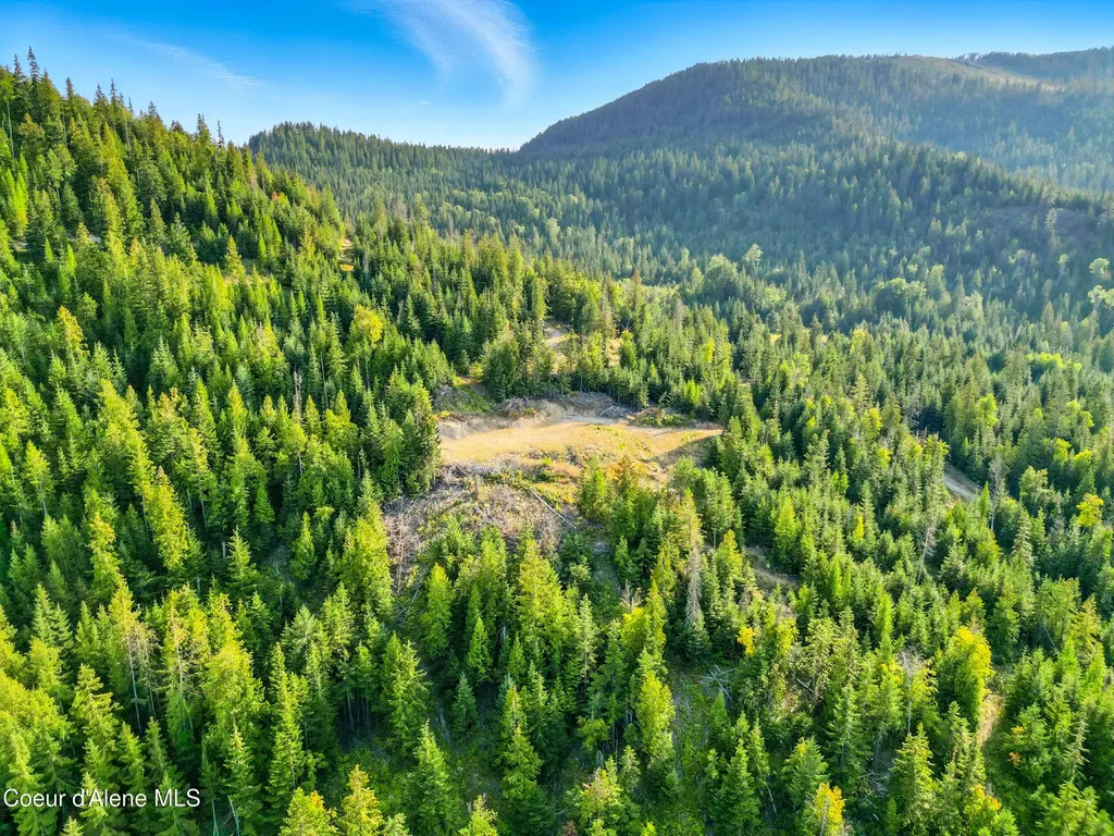 Nna Orion 20acres Drive Cocolalla ID 83813