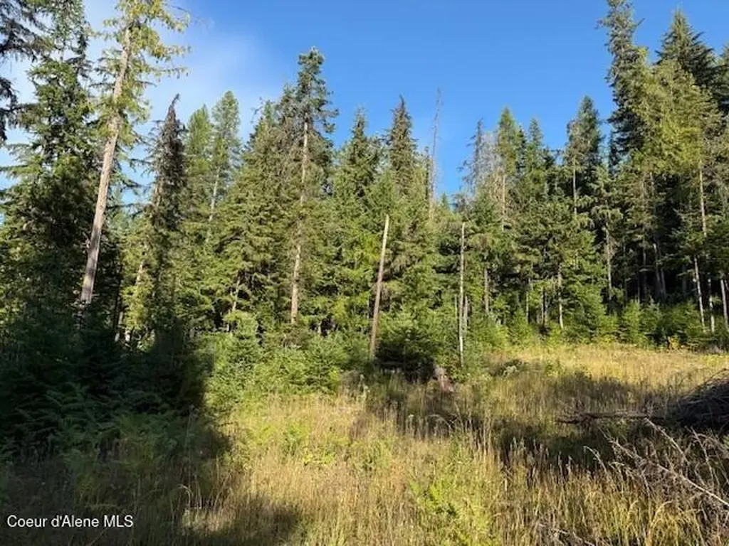 922 Cottonwood Road Priest River ID 83856