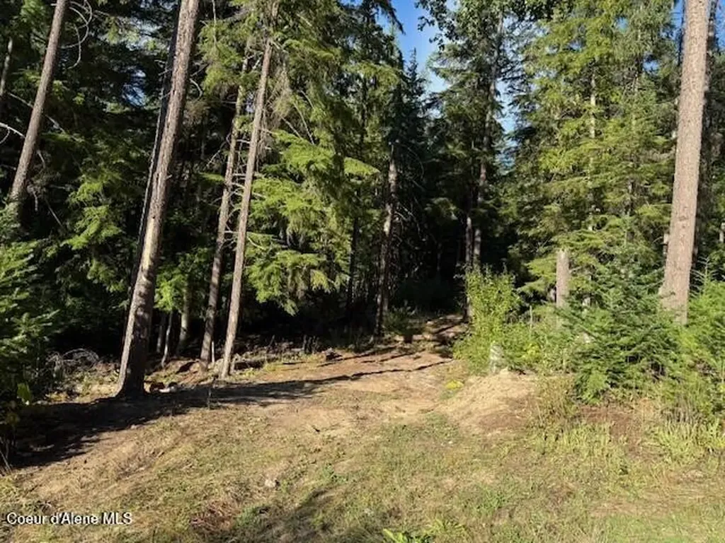 922 Cottonwood Road Priest River ID 83856