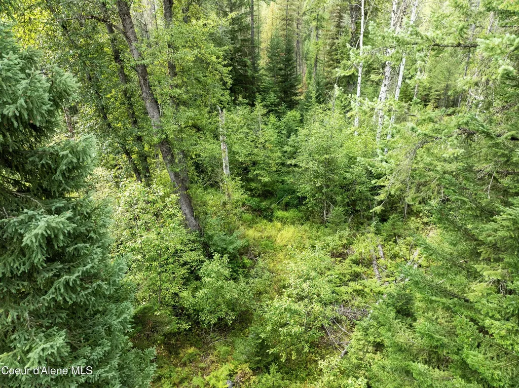 2225 Mud Gulch Road Priest River ID 83856