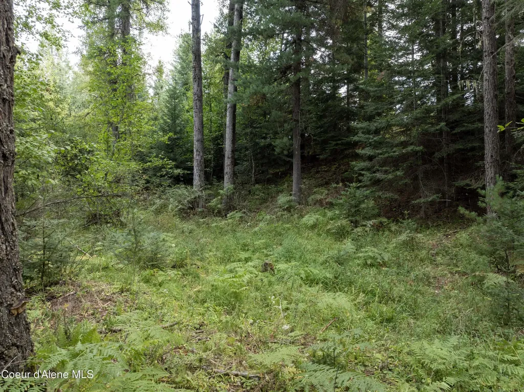 2225 Mud Gulch Road Priest River ID 83856