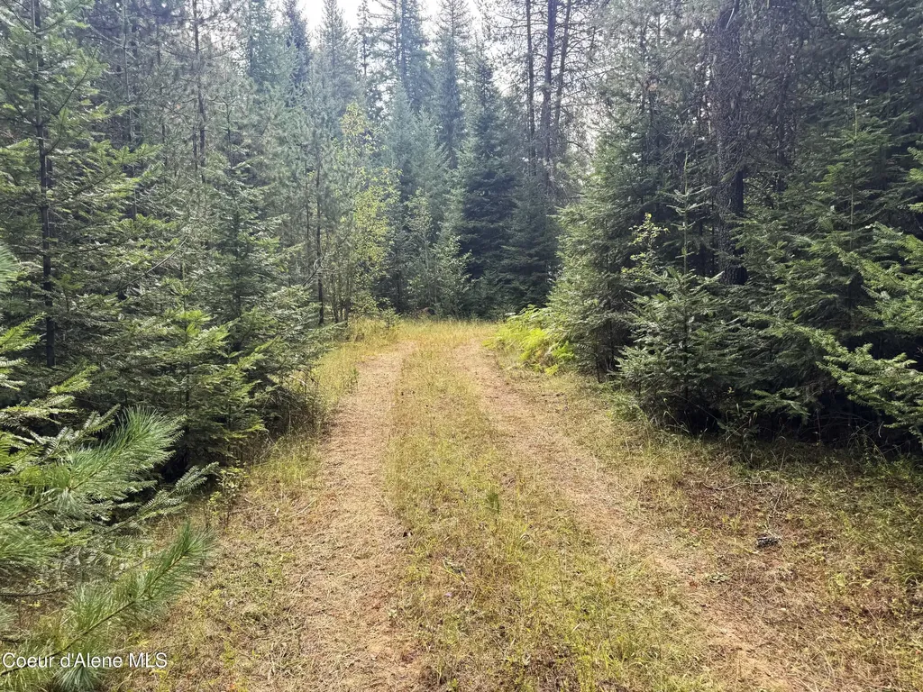 2225 Mud Gulch Road Priest River ID 83856