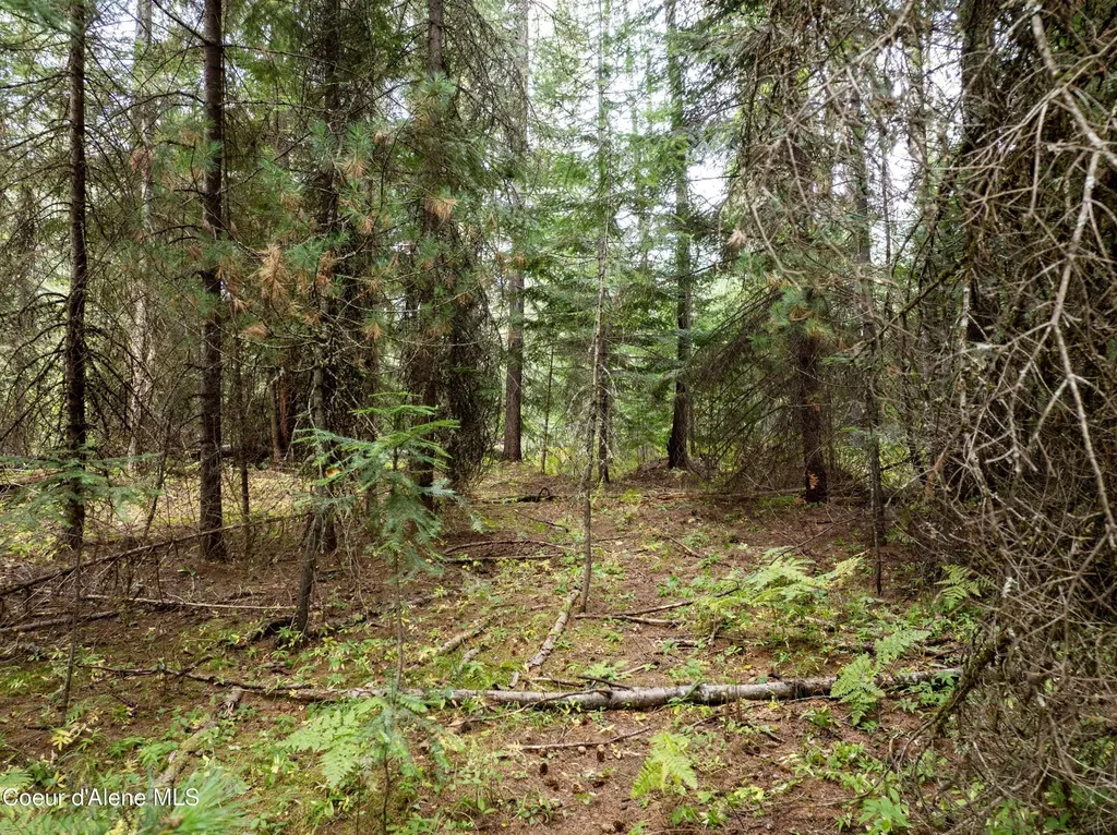 2225 Mud Gulch Road Priest River ID 83856