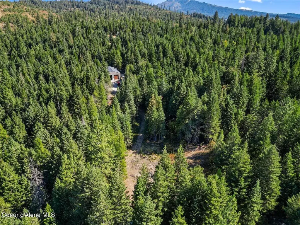 662 Homestead Hollow Road Careywood ID 83809