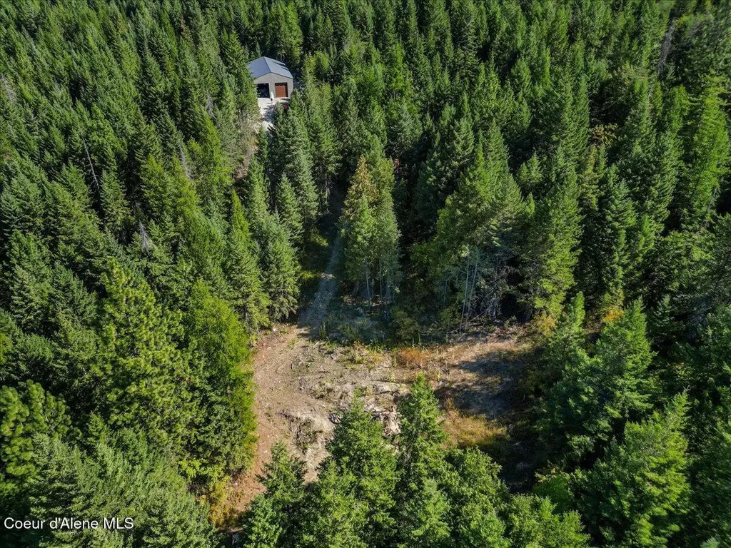 662 Homestead Hollow Road Careywood ID 83809