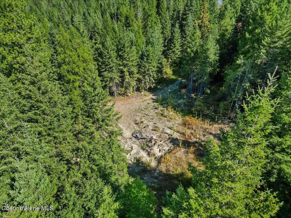 662 Homestead Hollow Road Careywood ID 83809