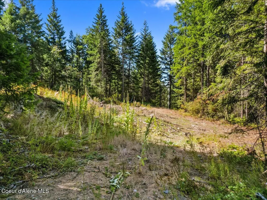 662 Homestead Hollow Road Careywood ID 83809