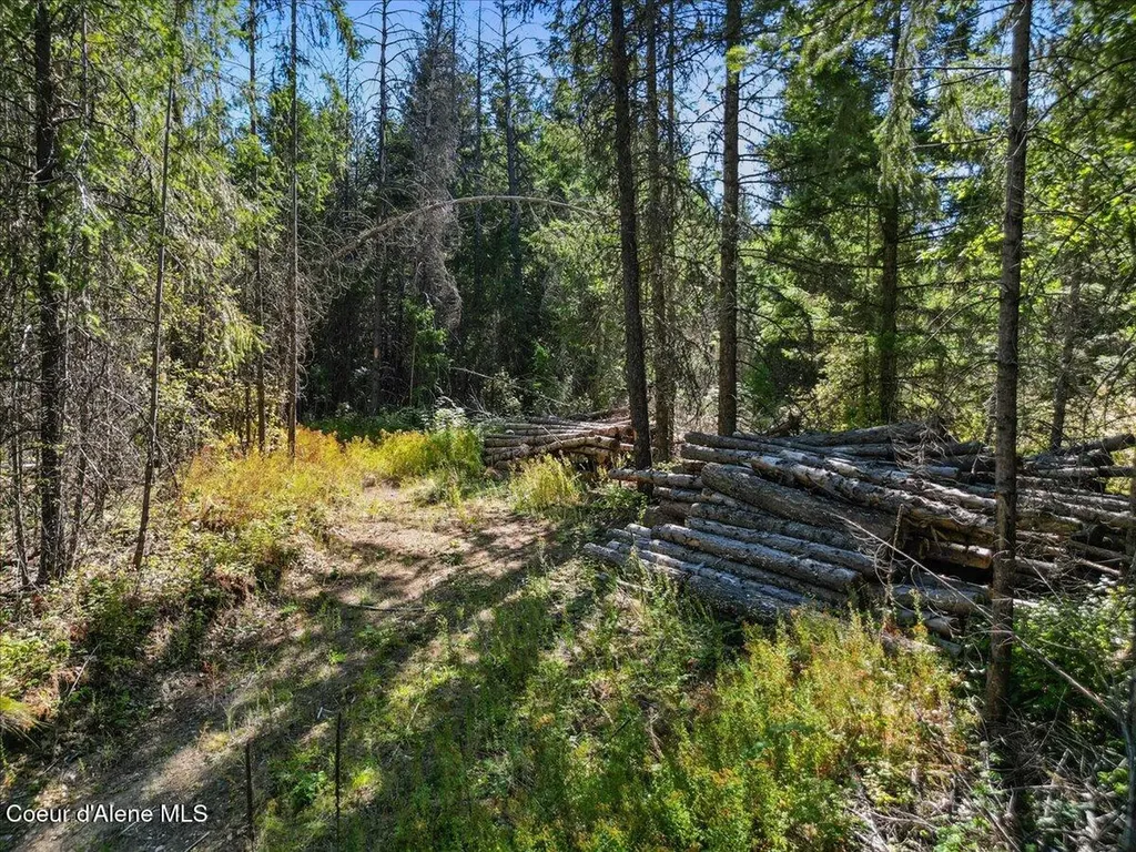 662 Homestead Hollow Road Careywood ID 83809