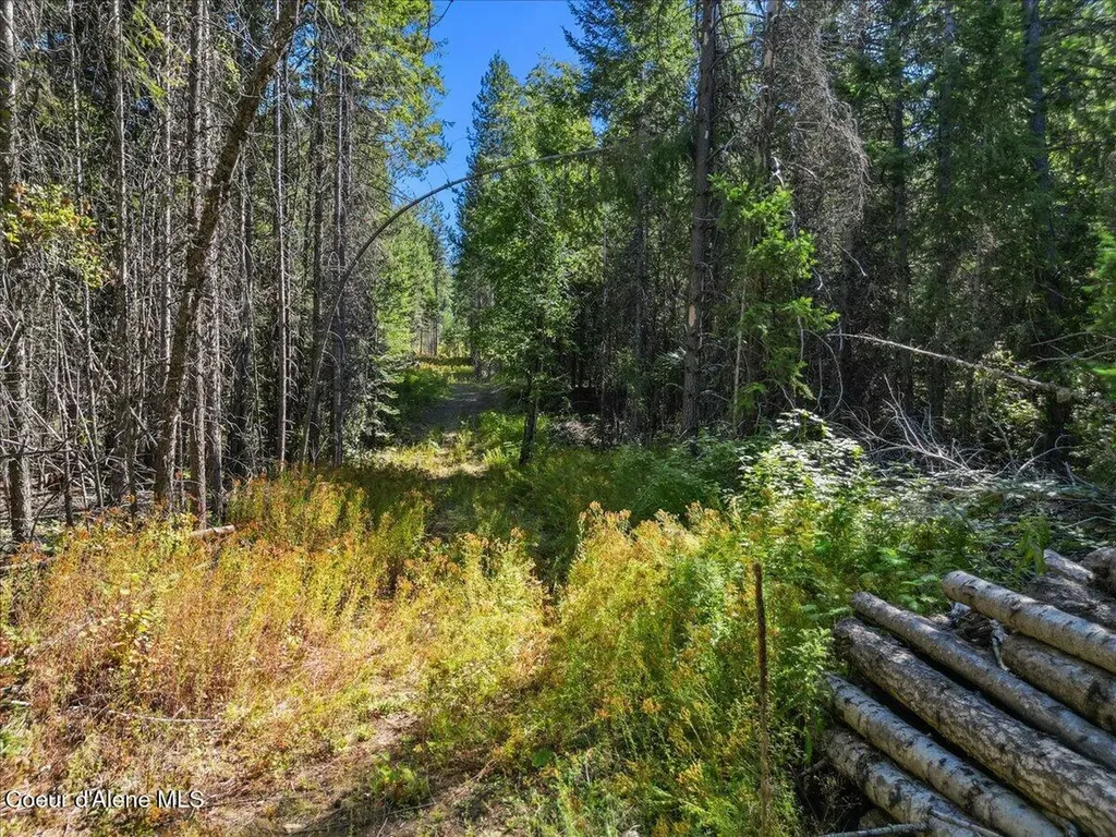 662 Homestead Hollow Road Careywood ID 83809