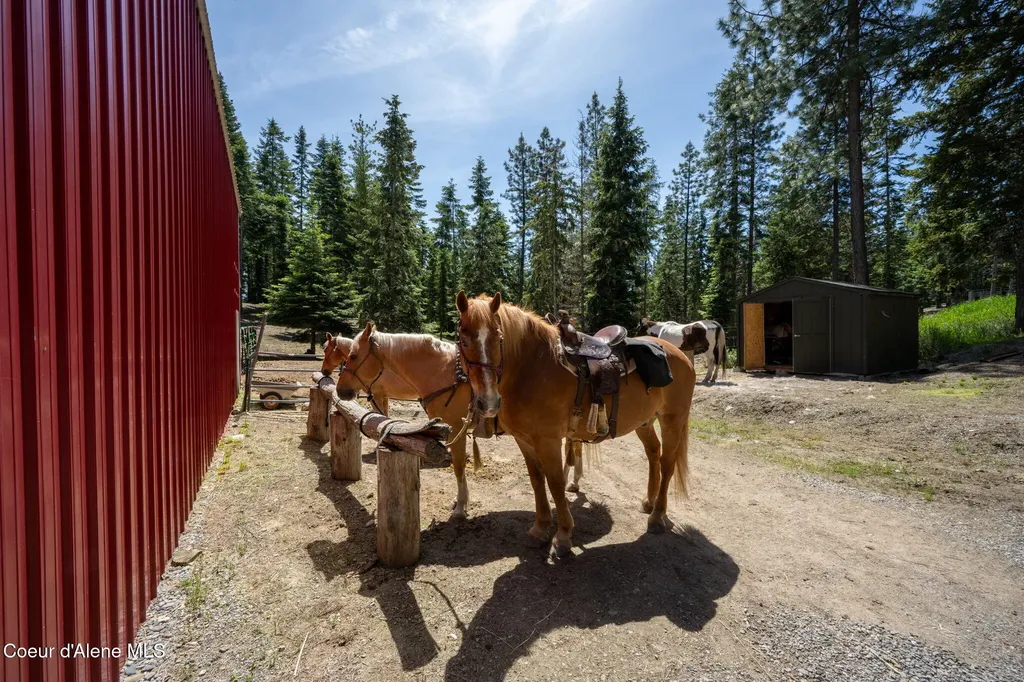 6918 E Garwood Road Hayden ID 83835