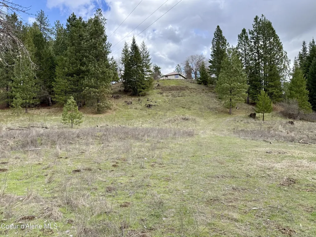 3216 Dufort Road Sagle ID 83860