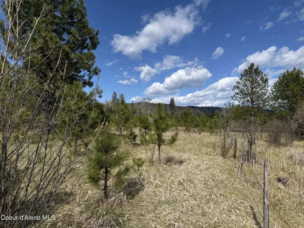 3216 Dufort Road Sagle ID 83860