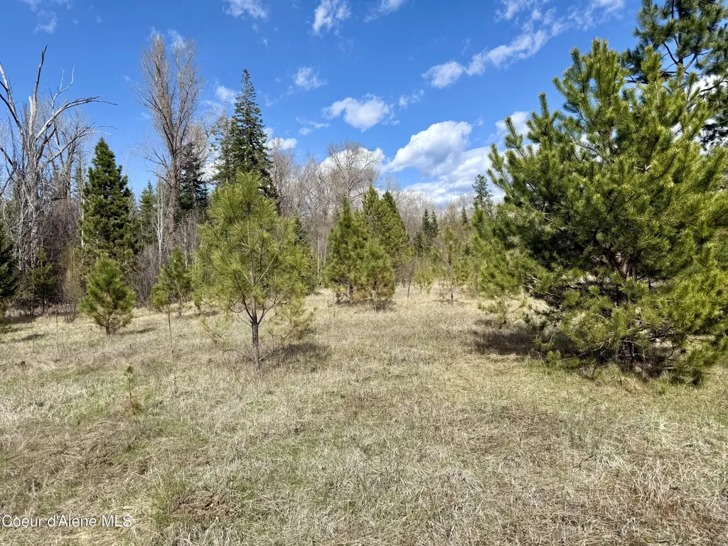3216 Dufort Road Sagle ID 83860