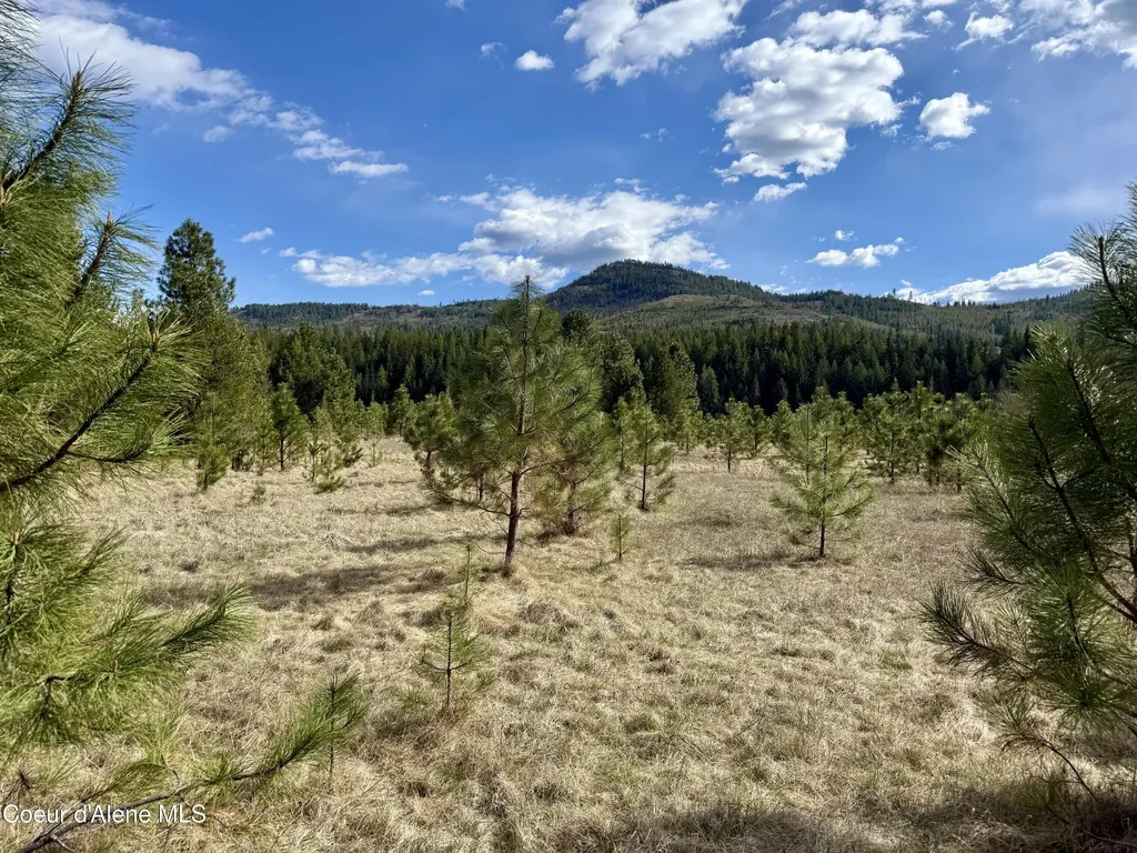 3216 Dufort Road Sagle ID 83860