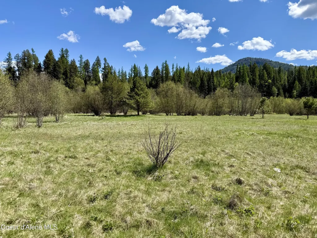 3216 Dufort Road Sagle ID 83860