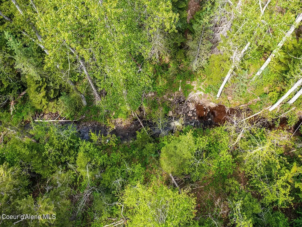 1155 Gold Creek Ridge Road Sandpoint ID 83864