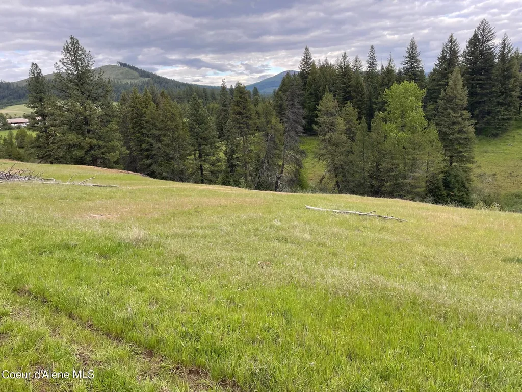 Nka Tyson Creek Road Santa ID 83866