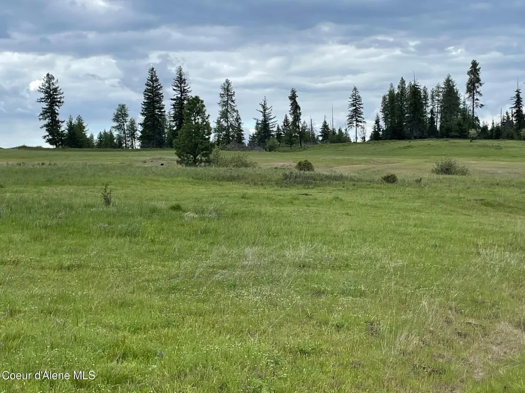 Nka Tyson Creek Road Santa ID 83866