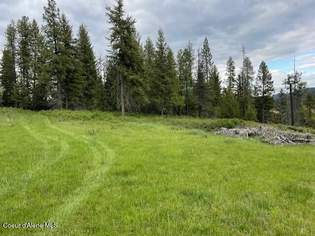 Nka Tyson Creek Road Santa ID 83866