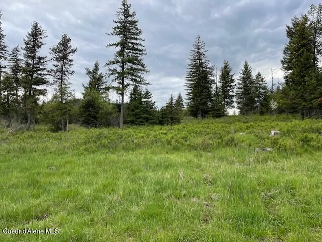 Nka Tyson Creek Road Santa ID 83866