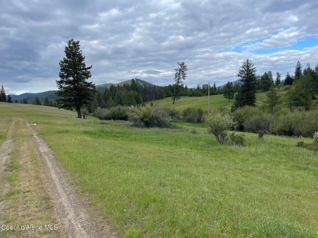 Nka Tyson Creek Road Santa ID 83866