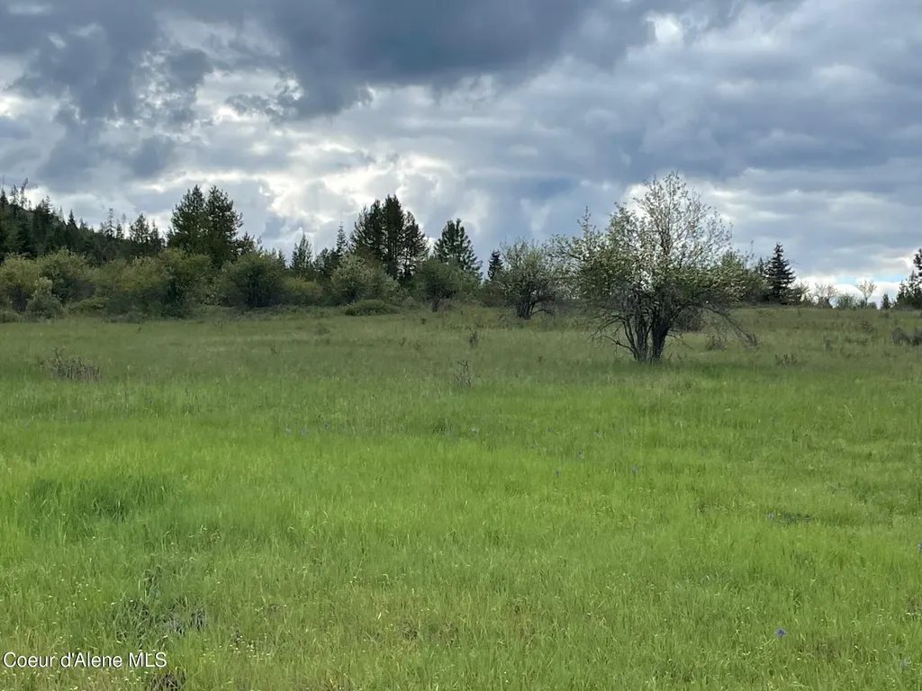 Nka Tyson Creek Road Santa ID 83866