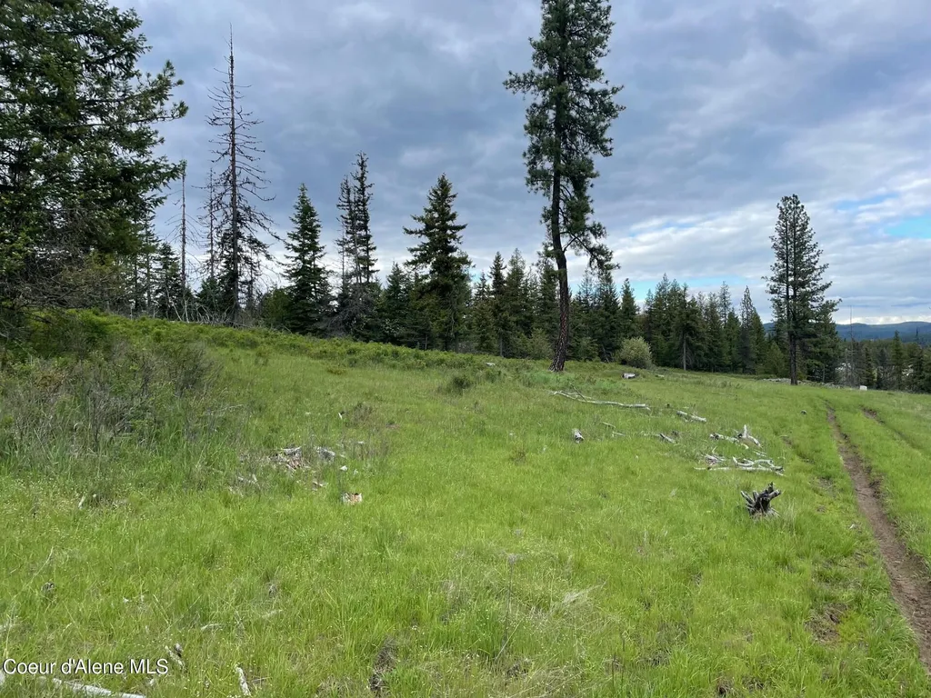 Nka Tyson Creek Road Santa ID 83866