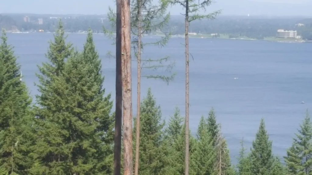 Lot 13 Lisa Road Harrison ID 83833